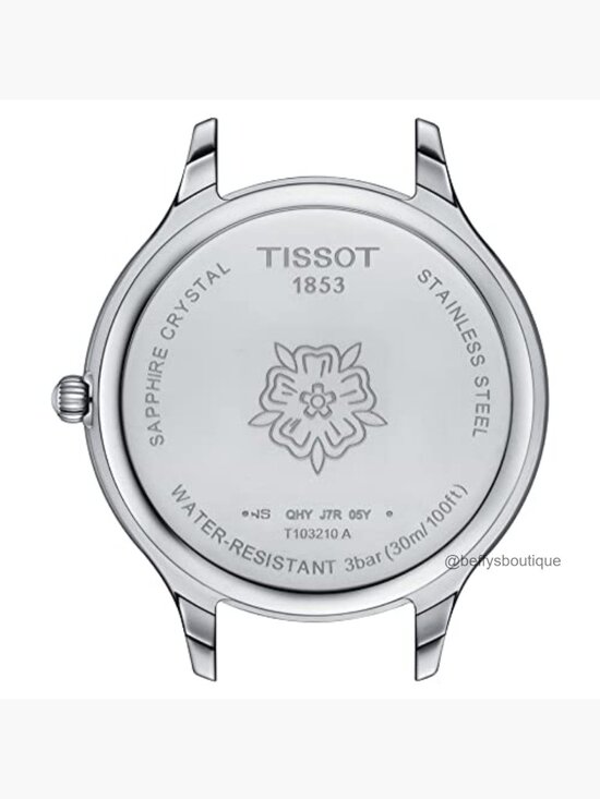 Swiss Quartz Watch 316L Stainless Steel Case Leather Strap Date Display Water